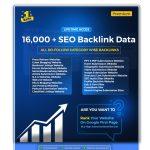 backlink seo