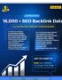 backlink seo