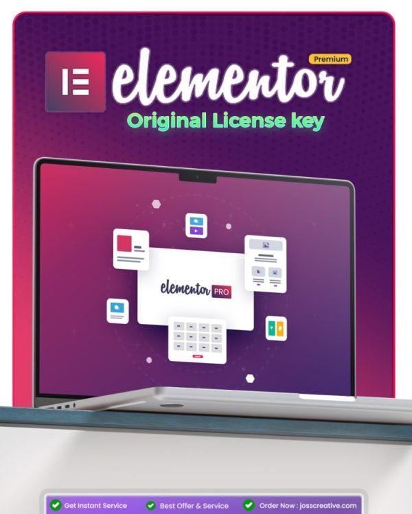 elementor pro bd