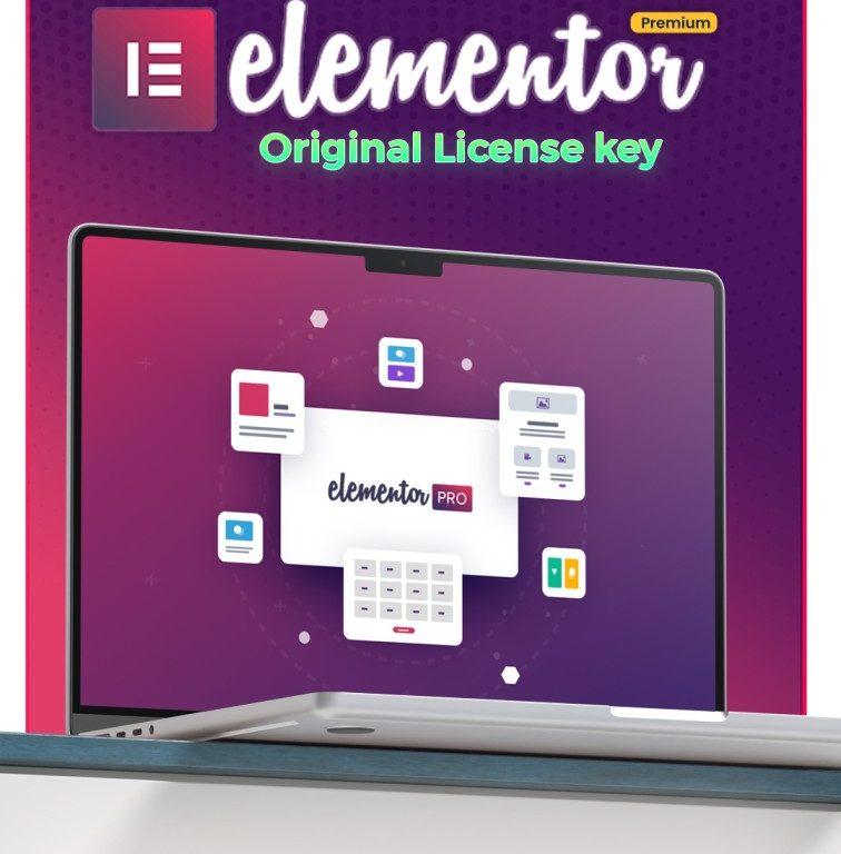 elementor pro bd